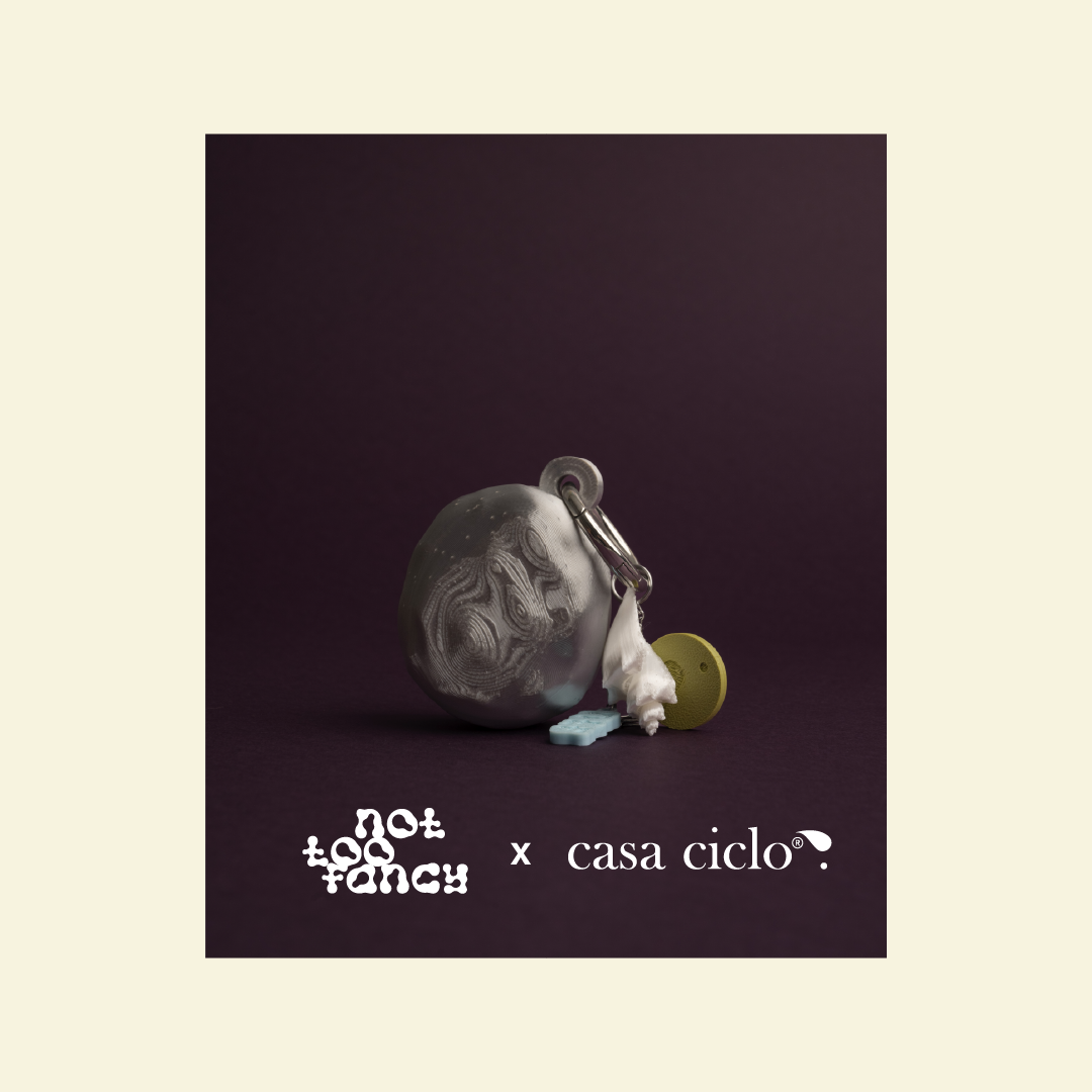 charm roca ntf x casa ciclo