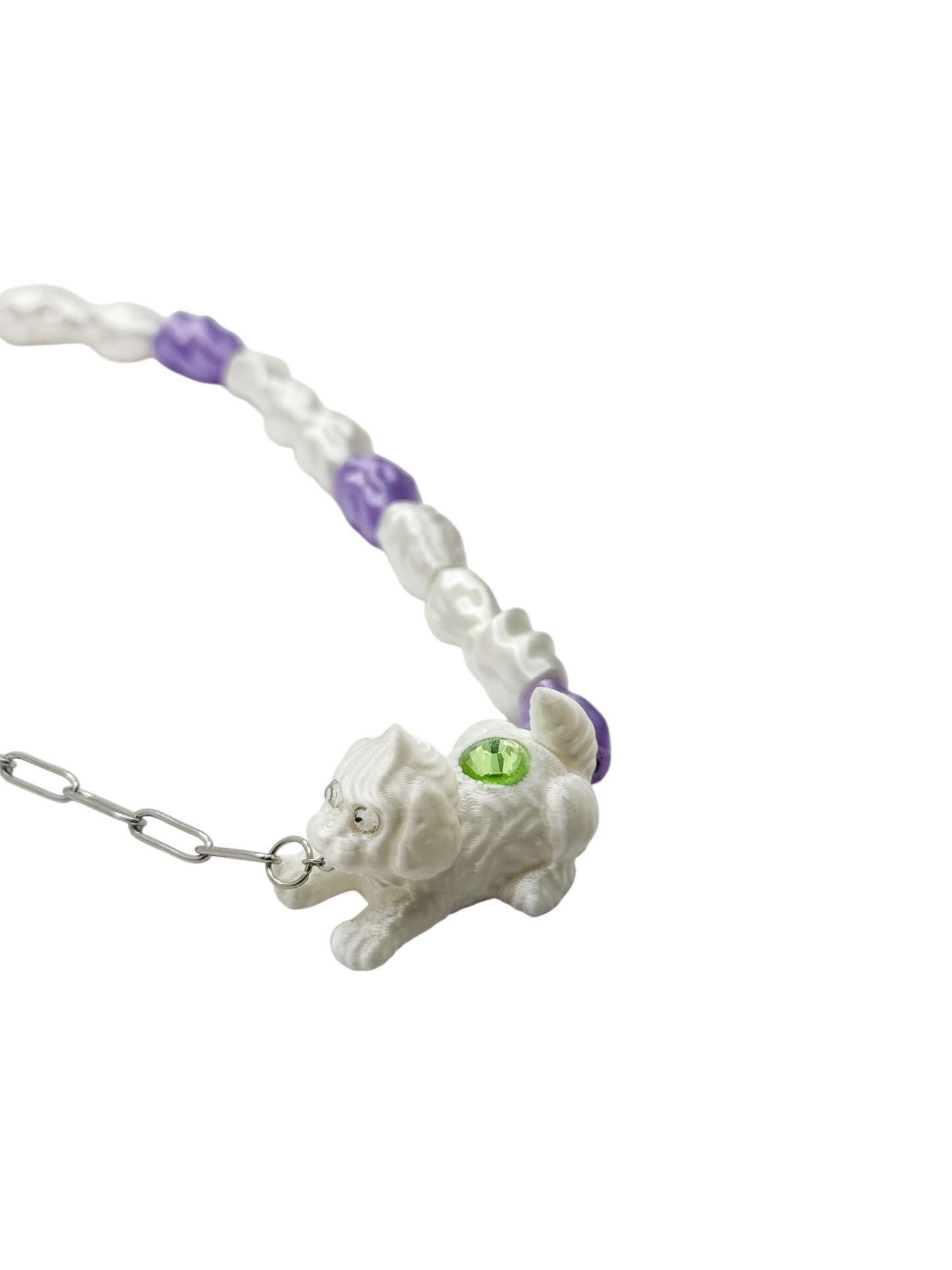 cadena whispets perro