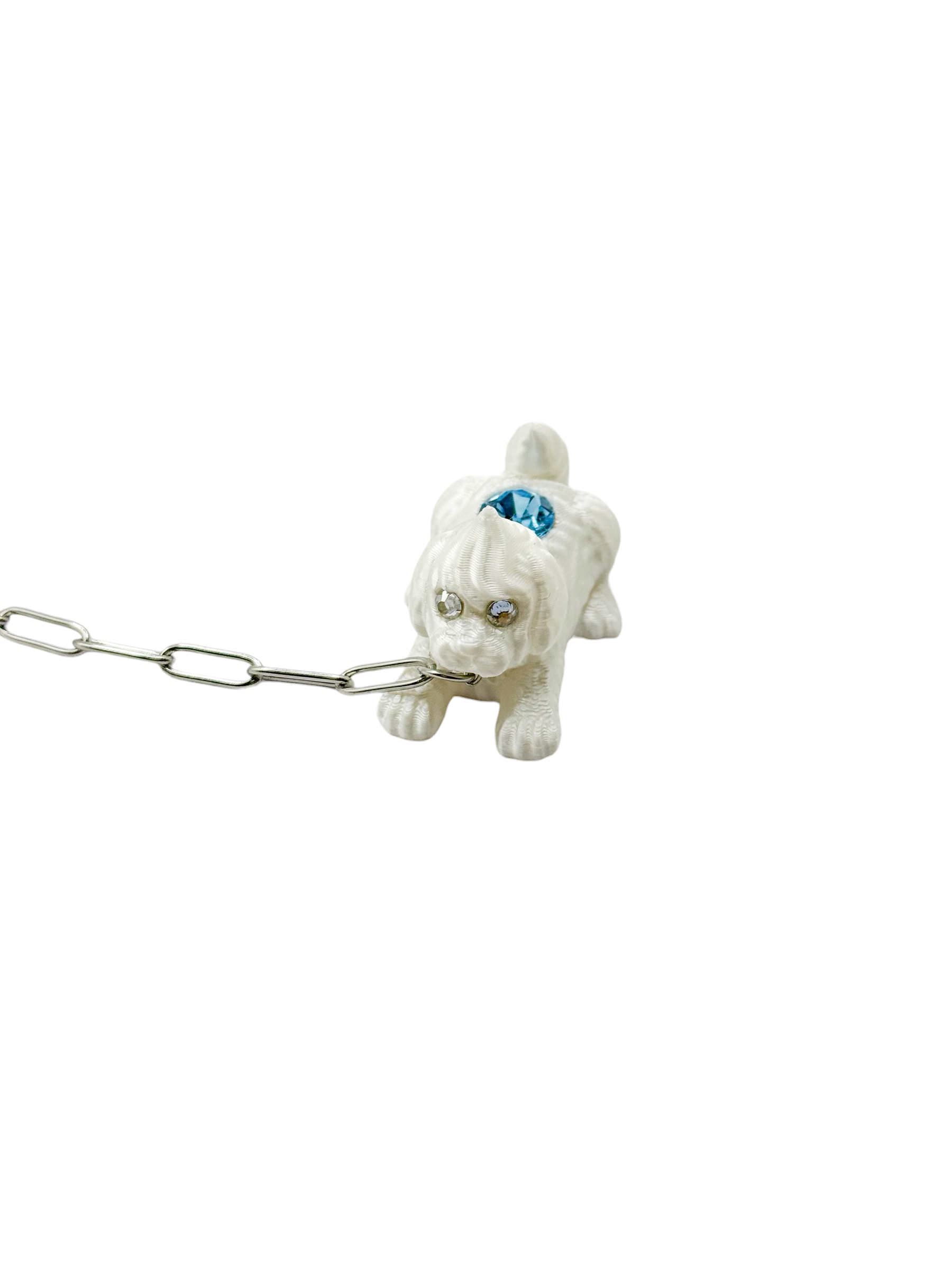 cadena whispets perro