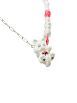 cadena whispets gato