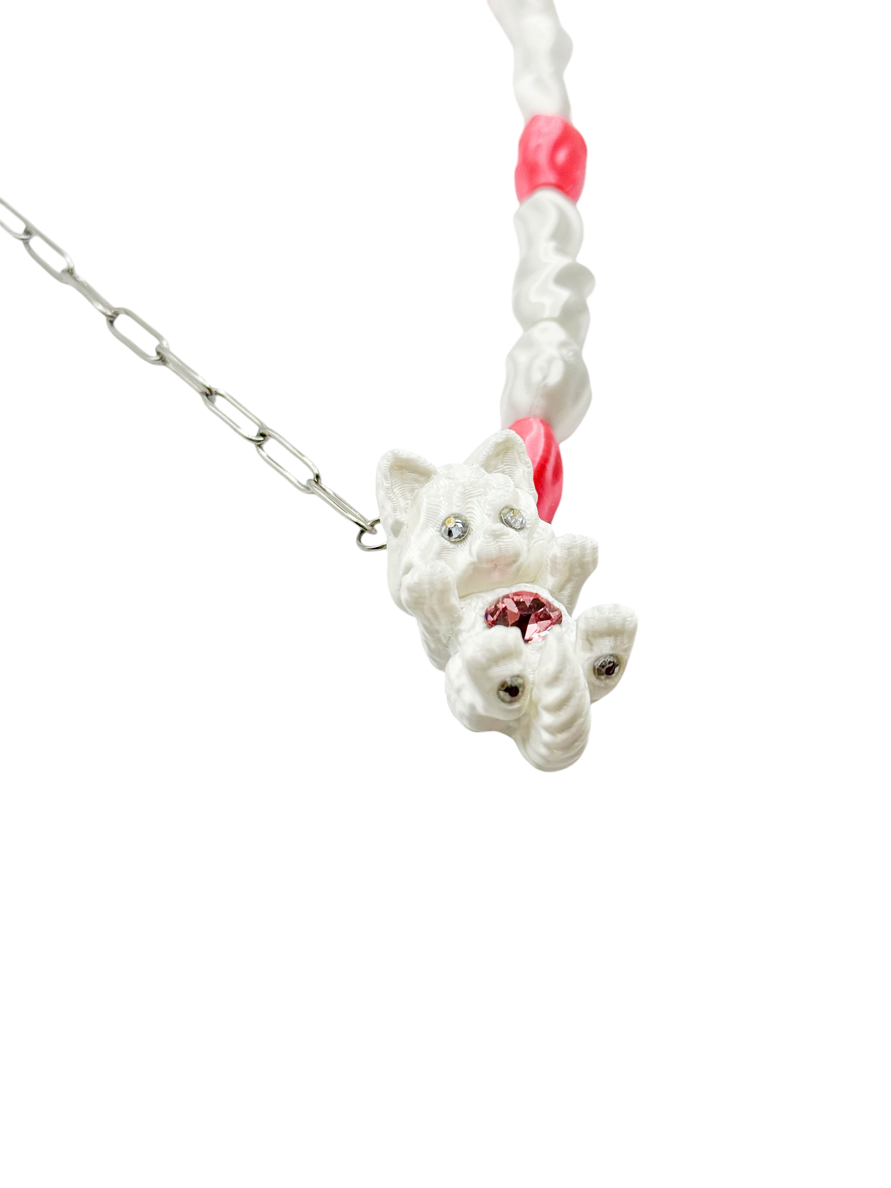 cadena whispets gato